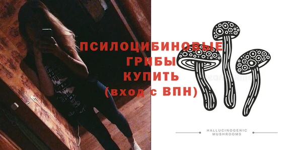 сатива Майский