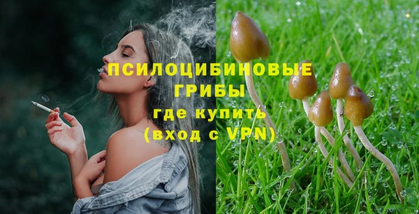 сатива Майский