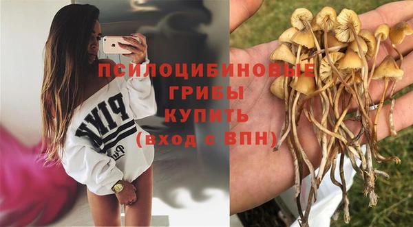 дистиллят марихуана Медногорск