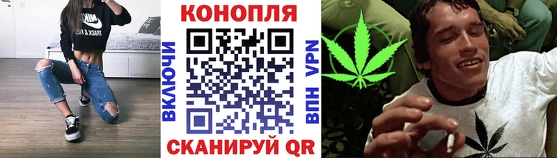 Купить закладки  Шумиха  Каннабис Amnesia 